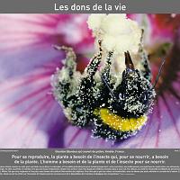 P2007 13LesDonsDeLaVie 